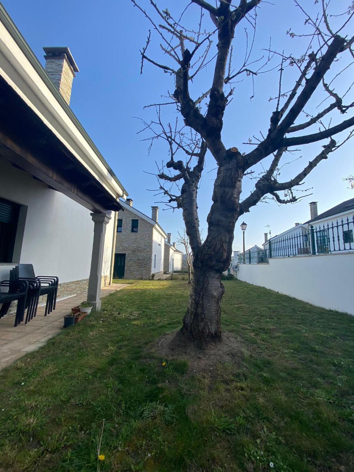 Casa Do Aloumino Villa Portomarin Ngoại thất bức ảnh
